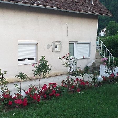 Apartmani U Guci Guča 외부 사진